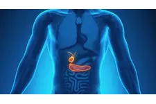 Safra Kesesinde Polip Nedir?